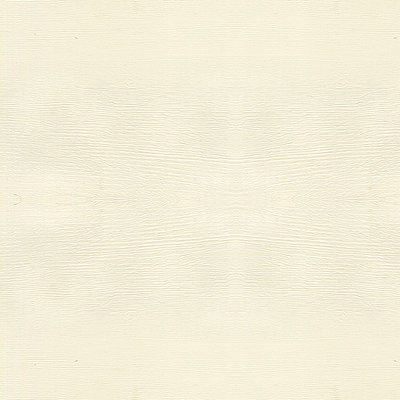 M0001-經(jīng)典鐵杉-1.png